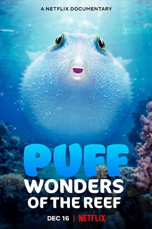 ดูหนังออนไลน์ฟรี Puff Wonders of the Reef (2021) พัฟฟ์ มหัศจรรย์แห่งปะการัง 037moviefree