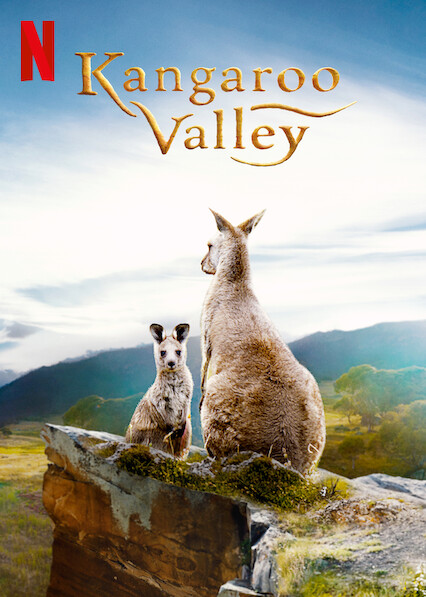 ดูหนังออนไลน์ฟรี ดูหนังออนไลน์ KANGAROO VALLEY 2022 หุบเขาแห่งจิงโจ้ 037hdmovie