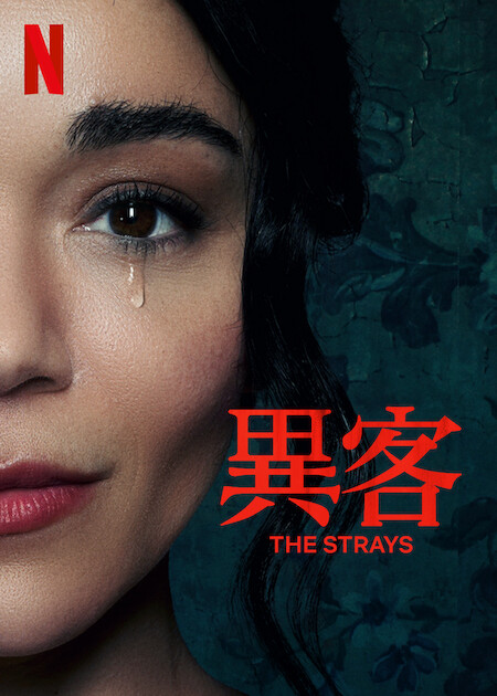 ดูหนังออนไลน์ฟรี ดูหนังออนไลน์ NETFLIX The Strays 2023 คนหลงทาง 037hdmovie