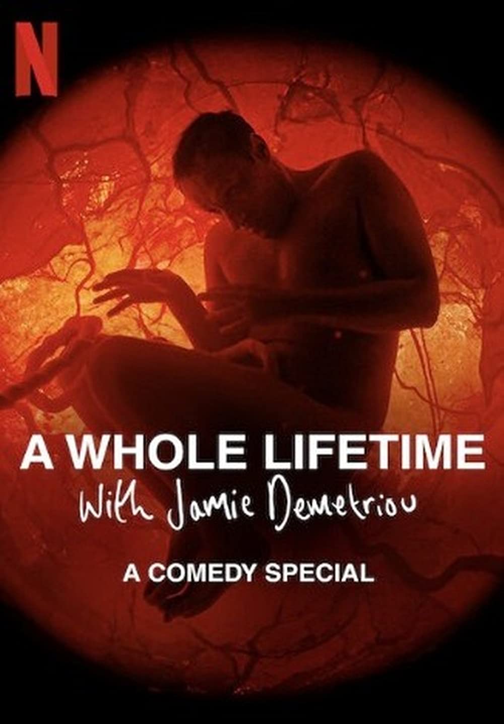 ดูหนังออนไลน์ ดูหนังออนไลน์ NETFLIX A Whole Lifetime with Jamie Demetriou 2023 037hdmovie