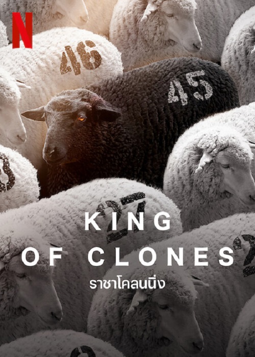 ดูหนังออนไลน์ฟรี ดูหนังออนไลน์ King of Clones 2023 ราชาโคลนนิ่ง 037hdmovie
